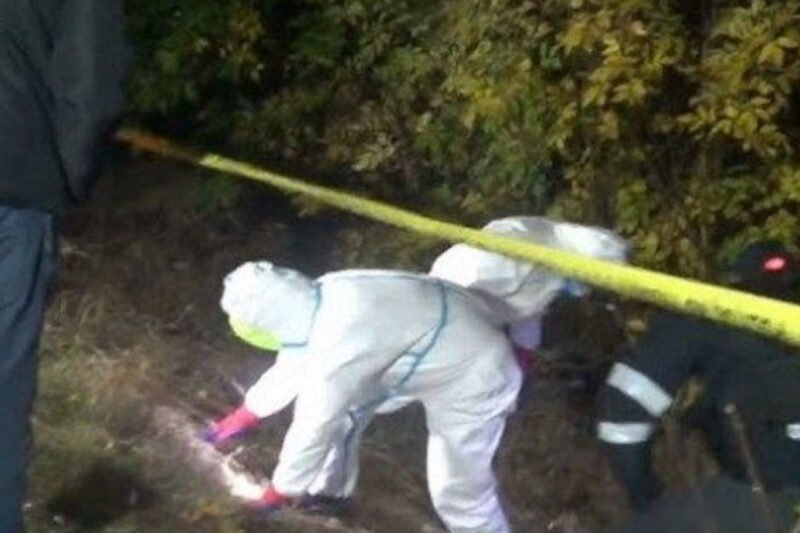 Doctoriță din Polonia arestată după descoperirea a 34 de fetuși în grădina casei