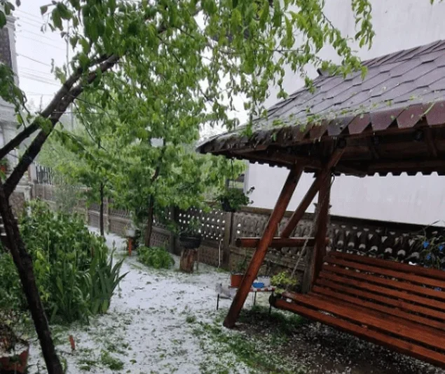 Furtună severă în Argeș. Grindina a devastat livezi și gospodării în Mihăești